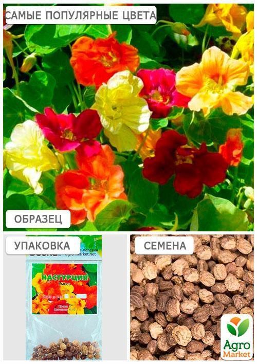 Настурція суміш (Зипер) ТМ "Весна" 2г - фото 4