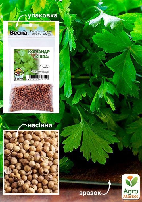 Коріандр "Кінза" (Зипер) ТМ "Весна" 7г
