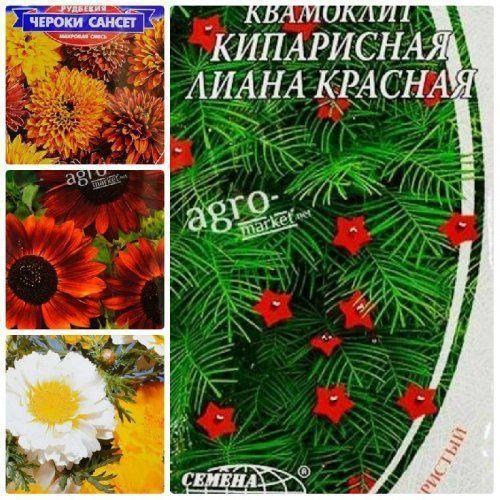 Комплект насіння квітів "Весняна веселка" 5уп