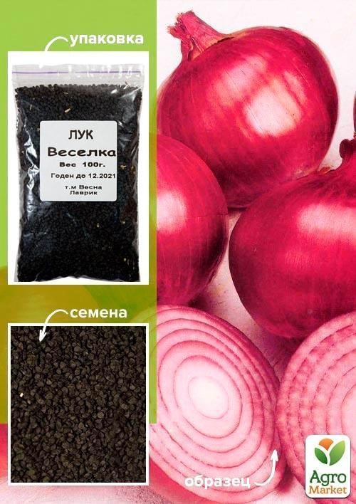 Цибуля "Веселка" ТМ "Весна" 100г