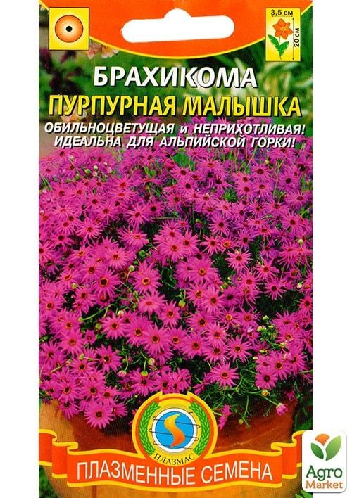Брахікома "Пурпурова малятко" ТМ "Плазмові насіння" 0,05г NEW