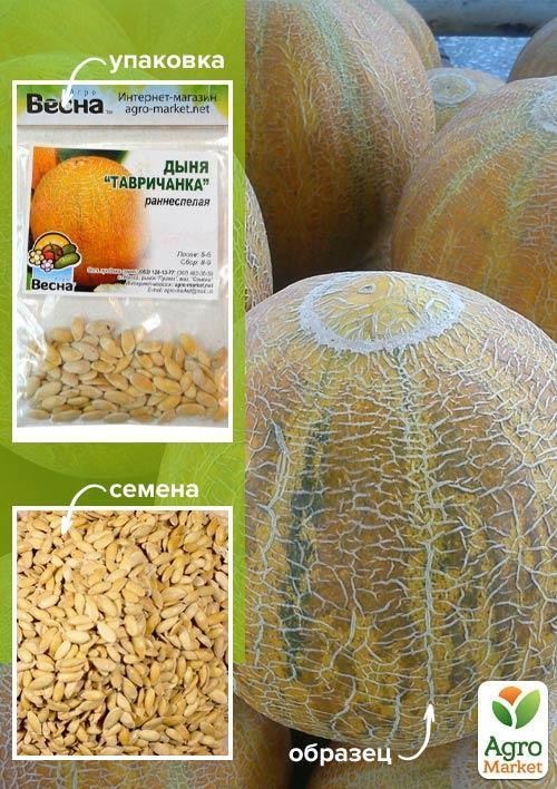 Диня "Тавричанка" (Зипер) ТМ "Весна" 4г