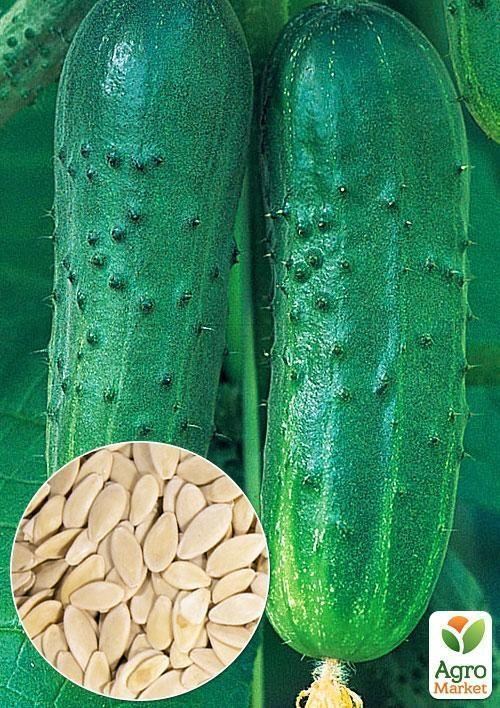На вагу Огірок "Фермер F1" ТМ "Весна" ціна за 4г
