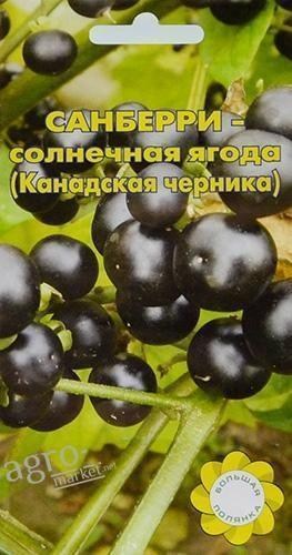 Санберри (Канадская черника) "Солнечная ягода" ТМ "Большая полянка" 0.1г