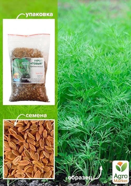 Укроп "Мамонтовый" ТМ "Весна" 100г