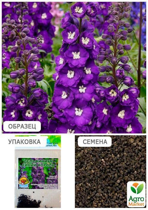 Дельфініум "Синій Король" (Зипер) ТМ "Весна" 1г - фото 2
