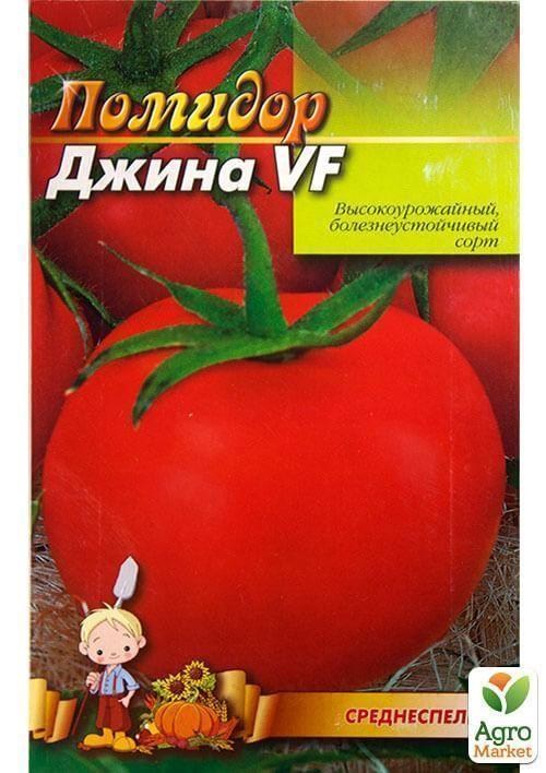 Томат "Джина VF" (Большой пакет) ТМ "Весна" 0.5г - фото 2