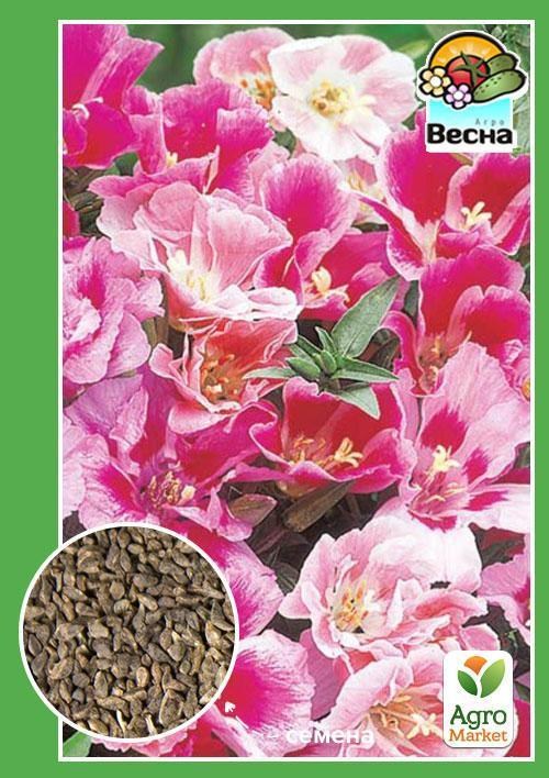 Годеция "Крупноцветковая" ТМ "Весна" 0.3г