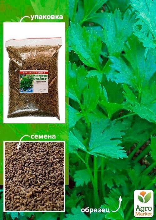 Петрушка "Урожайная" ТМ "Весна" 500г