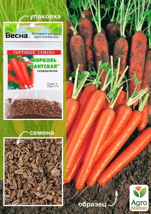 Морква "Нантська" (Зипер) ТМ "Весна" 5г