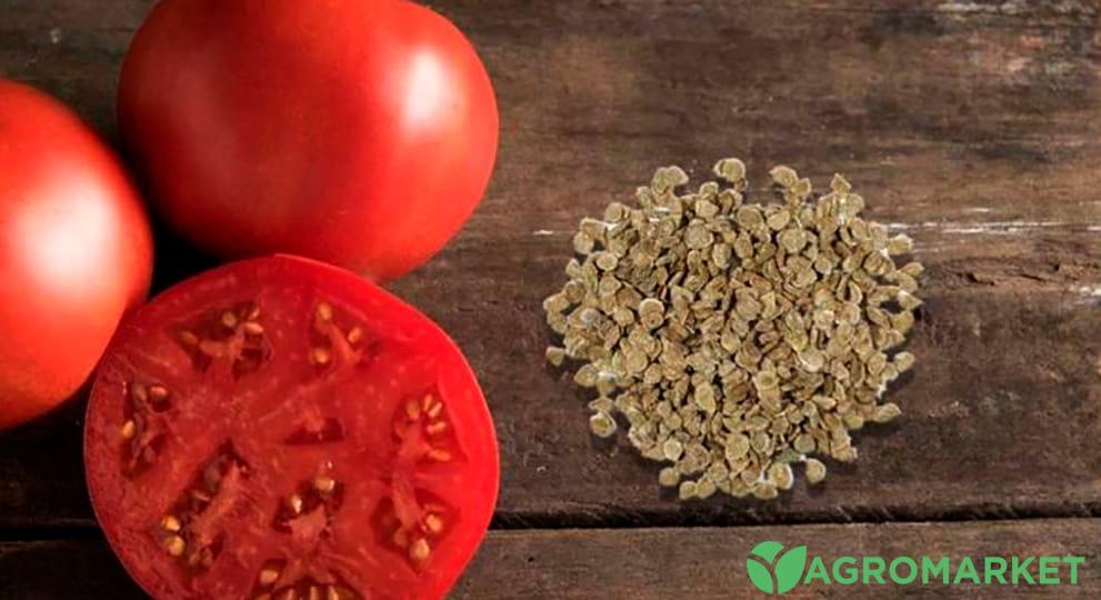 Как собрать семена помидор: как правильно собрать семена помидор -Agro-Market