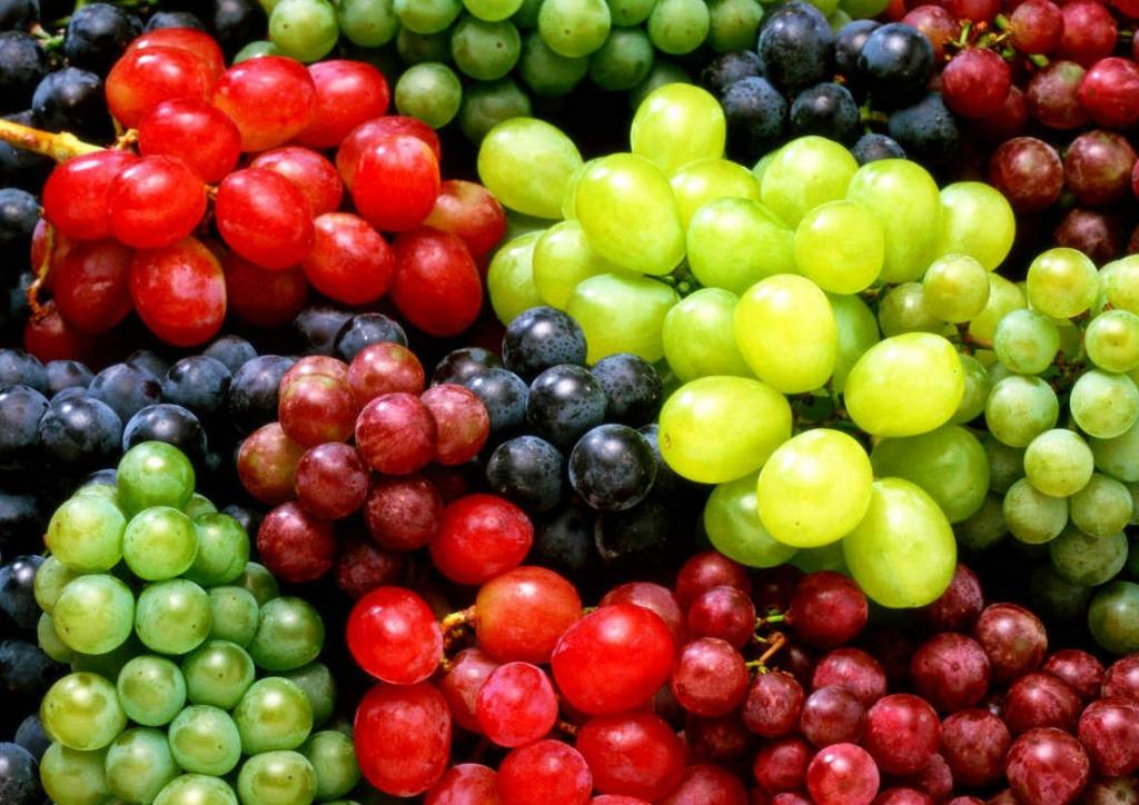 Разновидности сортов винограда