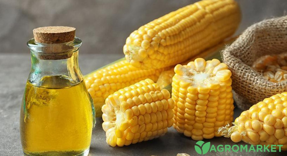 Кукурузное масло или подсолнечное. Кукурузное масло. В чем польза кукурузного масла. Кукурузное масло для чего используется.