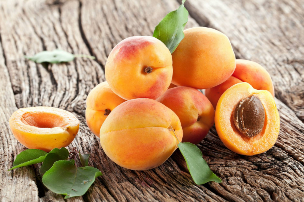 Тонкости культивации абрикосов