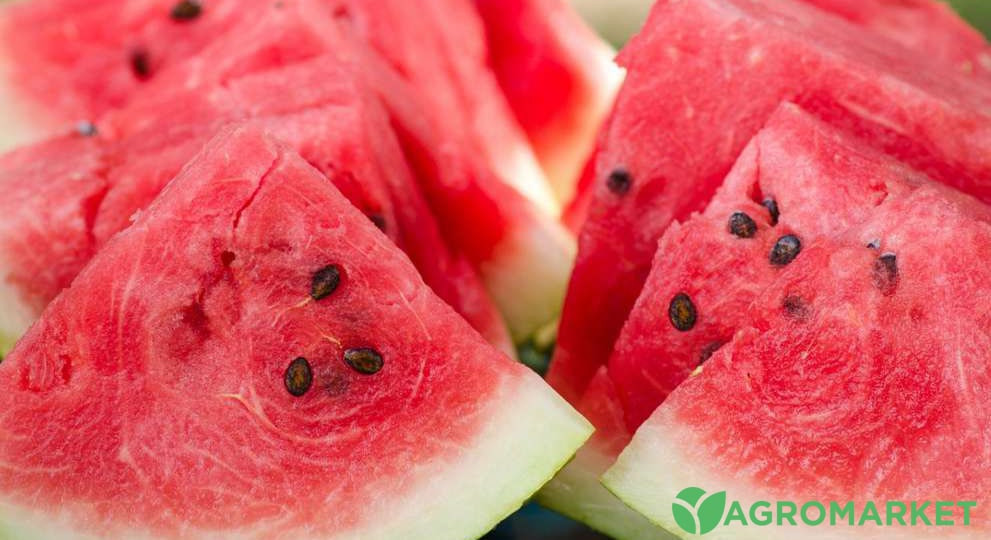 Плети арбуза. Organic Арбуз Watermelon. Арбуз Осман. Семена арбуза. Арбуз 65.