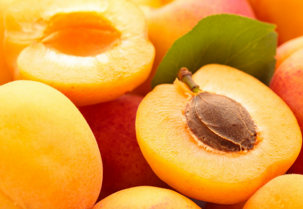 Разведение абрикосов