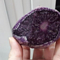 Картофель "Солоха" семенной ранний фиолетовый эксклюзив (1 репродукция) 1кг NEW купить