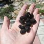 Шелковица крупноплодная "Стамбульская чёрная" (летний сорт, средний срок созревания)