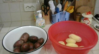 Насіннєвий рання картопля "ЛаБелль" (на жарку, 1 репродукція) 1кг - фото 2