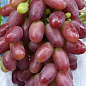 Виноград "Ризамат" (ранне-средний срок созревания, высокоурожайный сорт)