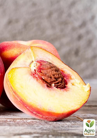 Персик "T-5 Топ Свит" (летний сорт, поздний срок созревания) - фото 5