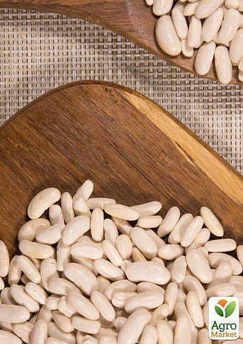 На развес Фасоль "Масляный король" ТМ "Весна" цена за 15г - фото 2