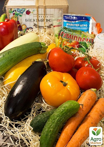 Смарт-набор овощей "Урожайный год" "Богатый фермер" (в коробке) ТМ "Весна" 15уп - фото 2