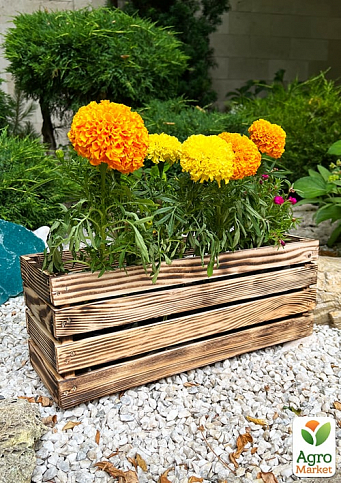 Ящик декоративний дерев'яний для зберігання та квітів "Жиральдо" д. 44см, ш. 17см, ст. 17см. (обпалений) - фото 3