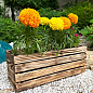 Ящик декоративний дерев'яний для зберігання та квітів "Жиральдо" д. 44см, ш. 17см, ст. 17см. (обпалений) цена