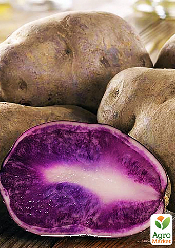Насіннєва картопля фіолетова "Гурман" (1 репродукція) 1кг