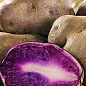 Насіннєва картопля фіолетова "Гурман" (1 репродукція) 1кг