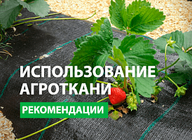 Чи можна стелити під зиму агротканину - корисні статті про садівництво від Agro-Market