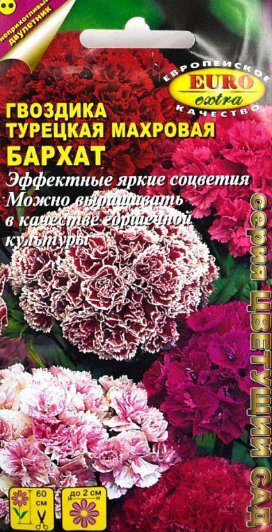 Гвоздика турецька махрова "Оксамит" ТМ "АЕЛІТА" 15 шт