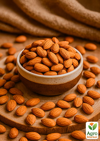 Миндаль сладкий "Нонпарель" (Nonpareil) (премиальный, морозостойкий сорт)