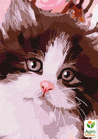 Картина по номерам - Пушистый котенок Идейка KHO4383 - фото 2
