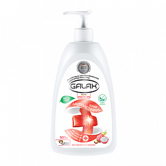 GALAX Жидкое антибактериальное мыло с экстрактом фрукта дракона и масла макадамии 500 г1