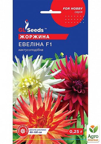 Жоржина кактусовидні "Евеліна F1" ТМ "GL Seeds" 0.25г