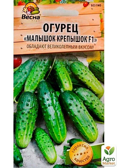 Огурец "Малышок крепышок F1" (Новый пакет) ТМ "Весна" 0.25г30