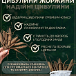 Жоржина "Kiev" цена