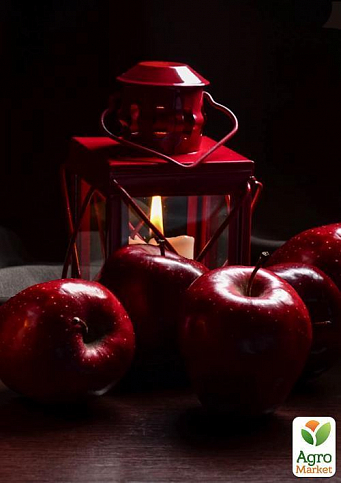 Ексклюзив! Яблуня красномясая "Редлов" (Redlov) (преміальний соковитий сорт) - фото 2