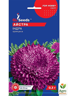 Астра "Індра" ТМ "GL Seeds" 0.3г1