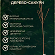 Сакура колоновидна "Аманогава" (Amanogawa) висота 100см цена