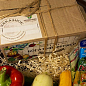 Смарт-набор овощей "Зеленая грядка" "Богатый фермер" (в коробке) ТМ "Весна" 15уп