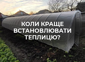 Коли ставити теплицю? Вибираємо ідеальний час | Agro-market