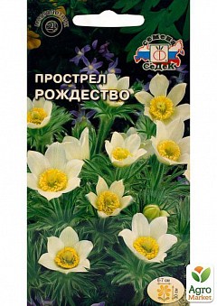 Прострел "Рождество" ТМ "СеДек" 0.1г2