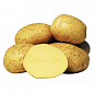 Картофель "Агата" семенной среднеспелый (1 репродукция) 1кг купить