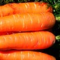 На развес Морковь "Без сердцевины" ТМ "Весна" цена за 10г купить