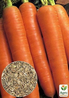 На развес Морковь 