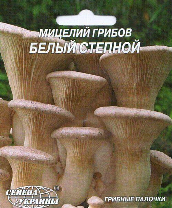 Белый степной гриб ТМ  "Семена Украины" 10шт