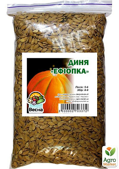Дыня "Эфиопка" ТМ "Весна" 500г16